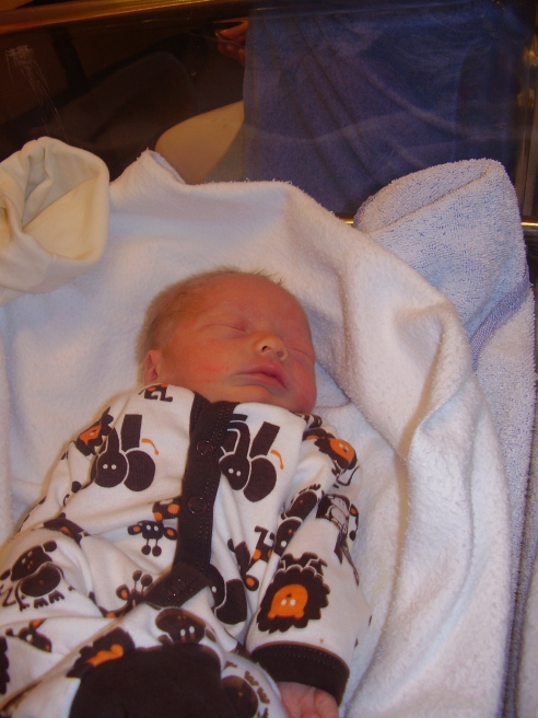 Bild nummer 1
